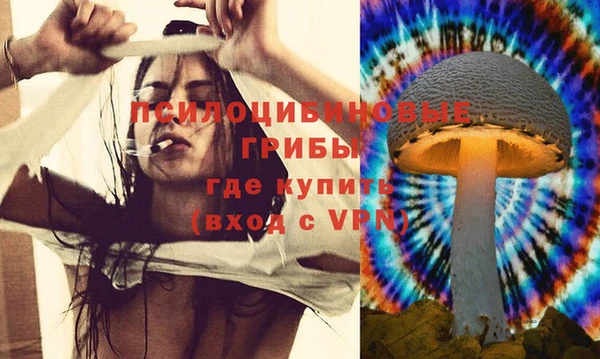 амфетамин Алексеевка