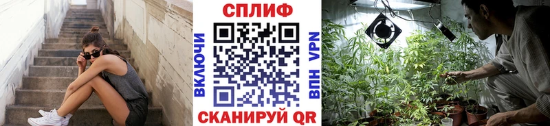 Купить закладки  Ува  Каннабис VHQ 